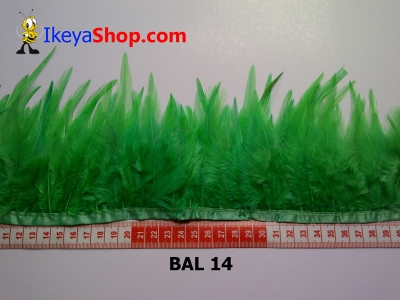 bulu ayam lancip BAL 14   feather  large2